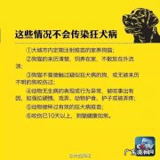 狗咬狗怎么处理 让狗咬了怎么清理