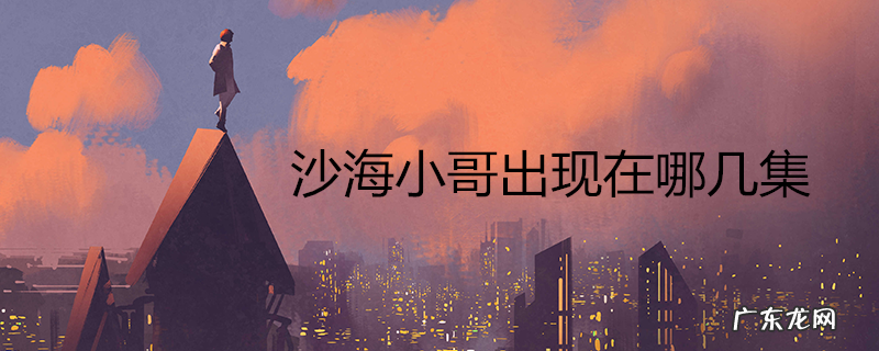 沙海小哥出现在哪几集