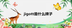 jigott是什么牌子