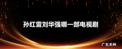 孙红雷刘华强哪一部电视剧