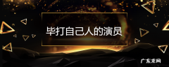 毕打自己人的演员