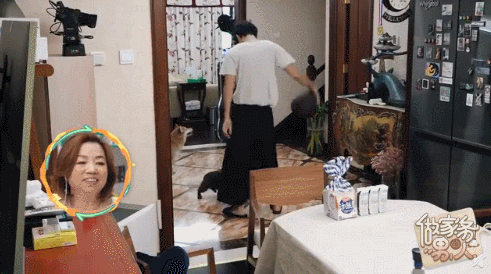 袁弘被自家狗咬？