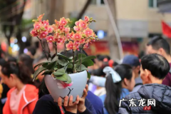 广州2020花街 广州哪里可以逛花街2022