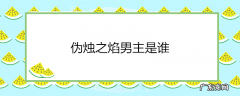 伪烛之焰男主是谁