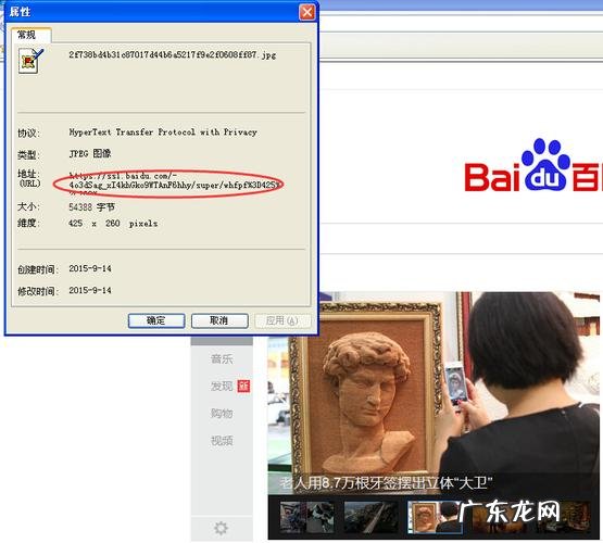 url地址是什么意思啊
