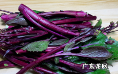 红菜苔的叶子和花能吃吗 红菜苔的叶子和花要去掉吗