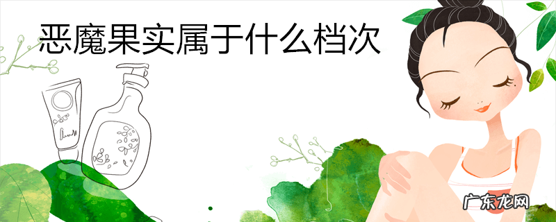 恶魔果实属于什么档次