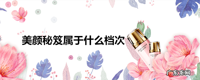 美颜秘笈属于什么档次