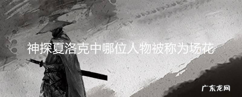 神探夏洛克中哪位人物被称为场花