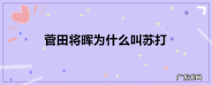 菅田将晖为什么叫苏打