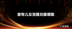 家有儿女克隆刘星哪集