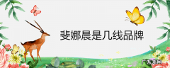斐娜晨是几线品牌
