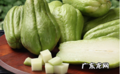 佛手瓜长刺了还能吃吗 佛手瓜为什么会长刺
