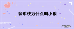 裴珍映为什么叫小狼