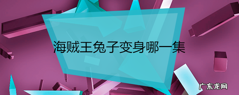 海贼王兔子变身哪一集