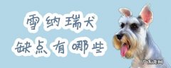 雪纳瑞宠物犬的优点和缺点 雪纳瑞犬缺点有哪些