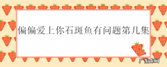 偏偏爱上你石斑鱼有问题第几集