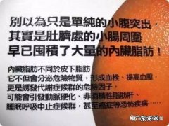 腹部内脏脂肪怎么减,每天这样坚持做,1个月瘦10斤