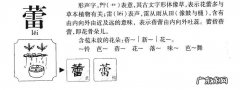 书蕾有什么寓意？书蕾的寓意是什么？书蕾怎么养？