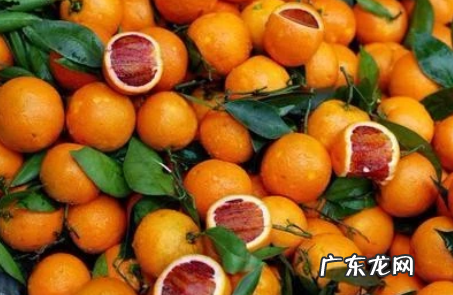 血橙没有血是什么原因 为什么买回来的血橙一点都没有血