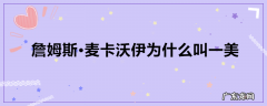 詹姆斯·麦卡沃伊为什么叫一美
