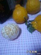 丑橘怎么保存不容易坏