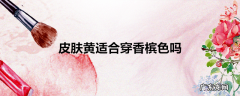 皮肤黄适合穿香槟色吗