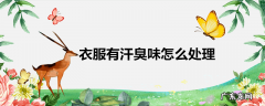 衣服有汗臭味怎么处理
