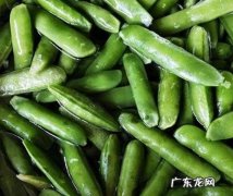 青豌豆怎么保存时间长