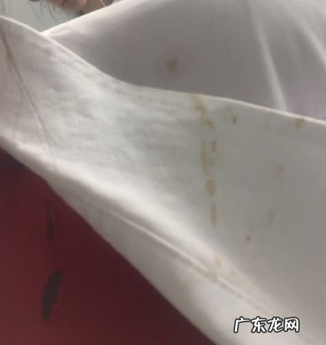 清洗衣服上鸟屎的妙招