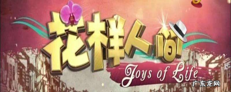 花样人间的演员