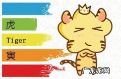 属蛇人和属虎人和不和