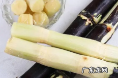 做甘蔗批发生意赚钱吗 春节卖甘蔗赚钱吗