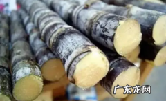 过年放甘蔗的意义 过年买甘蔗是什么意思