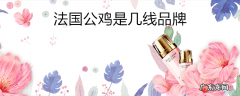 法国公鸡是几线品牌