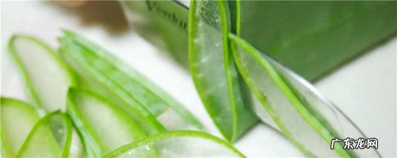 芦荟胶可以涂着睡觉吗