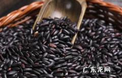正宗的黑米会掉颜色吗 黑米掉色严重能吃吗