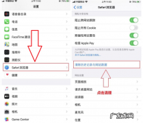 苹果的系统数据怎么清理