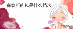 森泰斯的包是什么档次