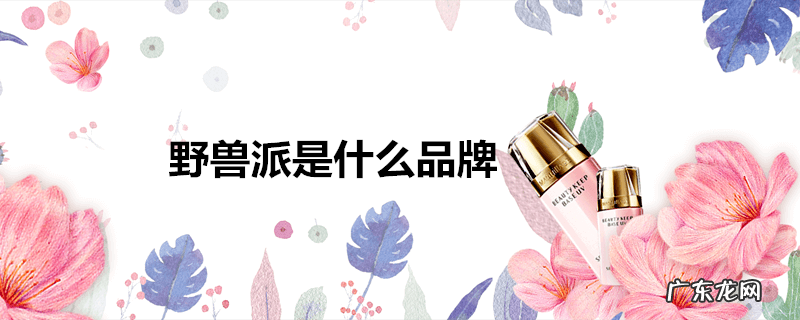 野兽派是什么品牌