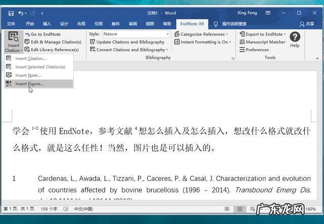 endnote 20引用参考文献的方法