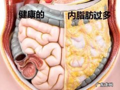 肚子大内脏脂肪多怎么减？4个方法,让你轻松甩掉腹部赘肉!
