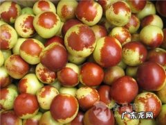 冬枣放久会变红吗？教你一招,冬枣放一年都不会变色