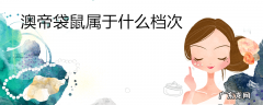 澳帝袋鼠属于什么档次