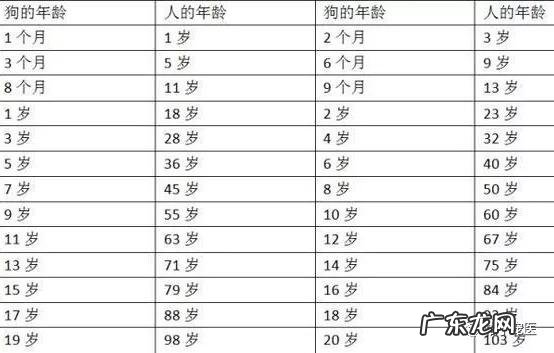狗怎么算年龄的,一只小狗才几个月？怎么判断狗多大呢？