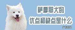 萨摩耶的优缺点及性格 萨摩耶犬的优点和缺点是什么