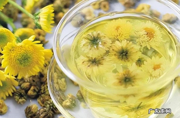 菊花水发绿能喝吗