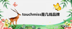 touchmiss是几线品牌