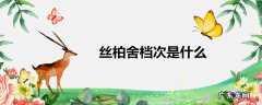 丝柏舍档次是什么