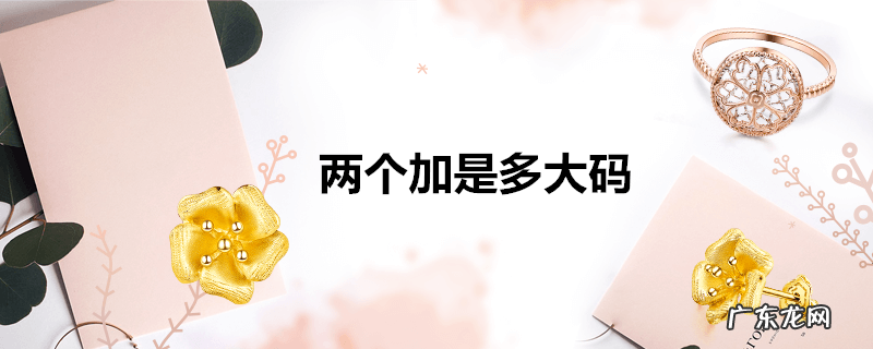 两个加是多大码